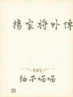 杨家将外传封面