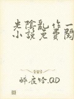 光阴乱作一团的小说免费阅读
