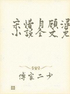 宋惜月顾浔渊的小说全文免费阅读封面