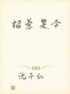 招惹 是今