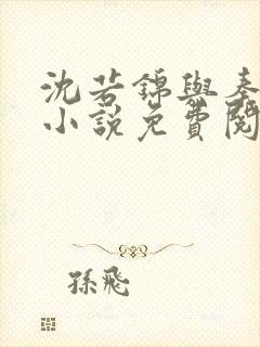 沈若锦与秦琅的小说免费阅读封面