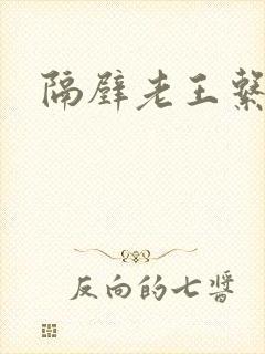 隔壁老王系统