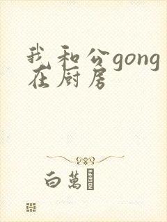 我和公gong在厨房封面