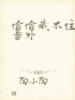 偷偷藏不住新婚番外