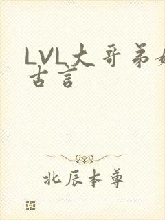 LVL大哥弟媳古言