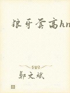 狼牙套高hnp