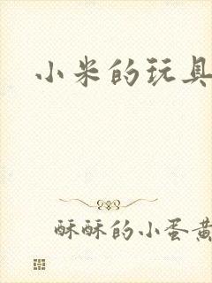 小米的玩具日记