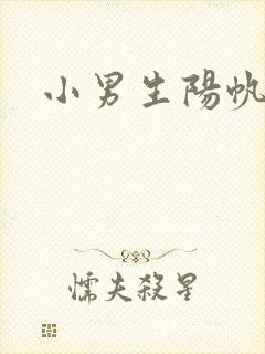 小男生阳帆