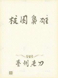 校园枭雄封面