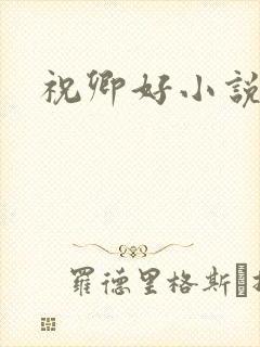 祝卿好小说封面