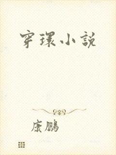 穿环小说