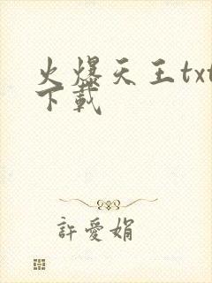 火爆天王txt下载