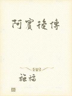 阿宾后传