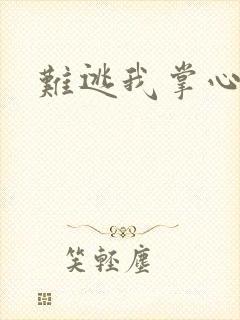 难逃我掌心封面