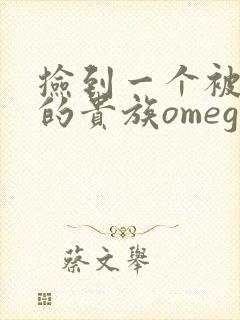 捡到一个被抹布的贵族omega封面