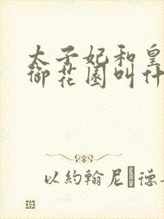 太子妃和皇帝在御花园叫什么小说