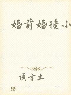 婚前婚后小说封面