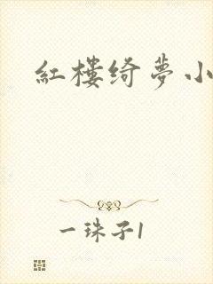 红楼绮梦小说