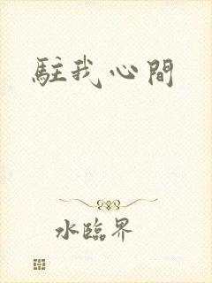 驻我心间封面