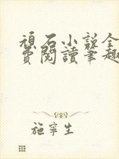 顽石小说全文免费阅读笔趣阁