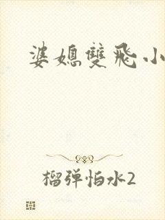 婆媳双飞小说