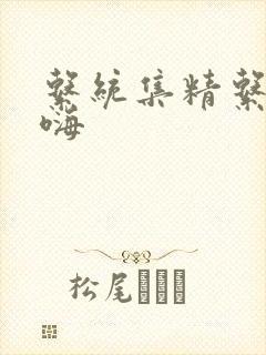 系统集精系统高嗨封面