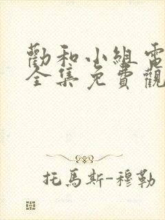 劝和小组电视剧全集免费观看