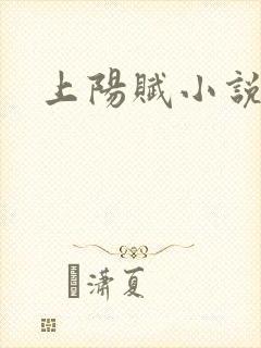 上阳赋小说
