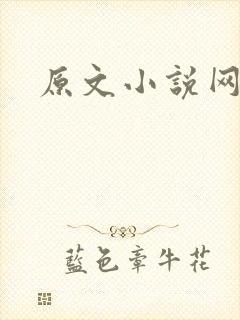 原文小说网