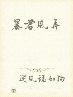 暴君风弄