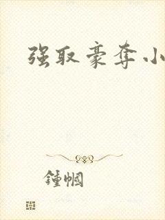 强取豪夺小说封面