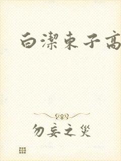 白洁东子高义封面