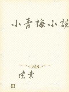 小青梅小说