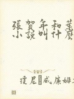 张贺年和叶繁姿小说叫什么名字封面