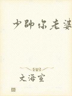 少帅你老婆封面