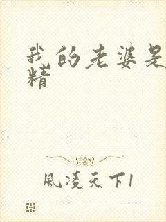 我的老婆是狐狸精