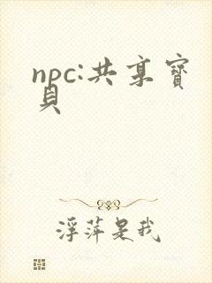 npc:共享宝贝