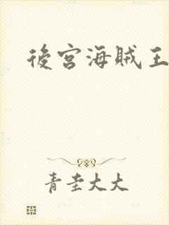 后宫海贼王