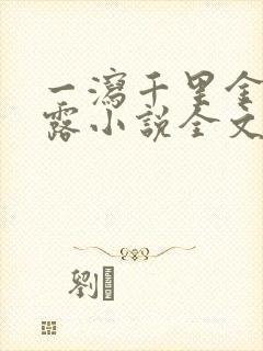 一泻千里金银花露小说全文免费阅读