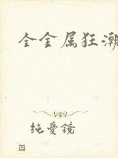 全金属狂潮小说封面