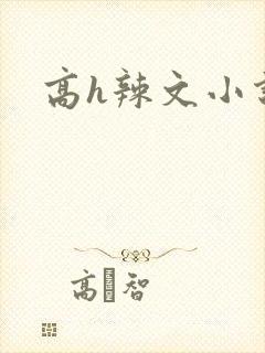 高h辣文小说