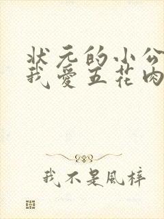 状元的小公主(我爱五花肉)
