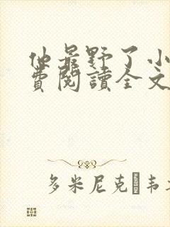 他最野了小说免费阅读全文