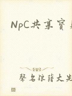 NpC共享宝贝