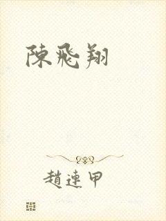 陈飞翔