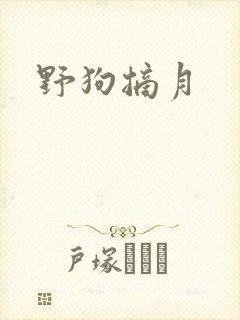 野狗摘月
