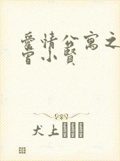 爱情公寓之极品曾小贤
