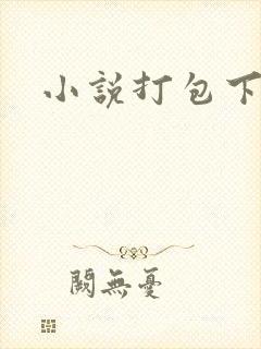 小说打包下载封面