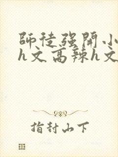 师徒强开小嫩苞h文高辣h文