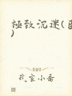 极致沉迷(臣年)封面